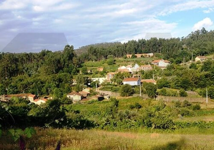 Quinta T6 para Venda em Recardães e Espinhel Foto 49