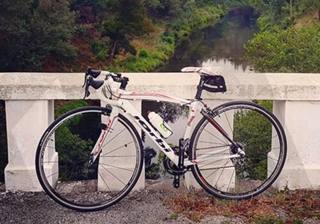 Quinta T6 para Venda em Recardães e Espinhel Foto 48