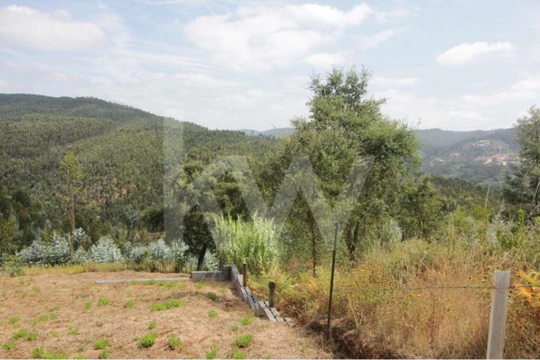 Terreno para Venda em Santo Antonio dos Olivais Foto 10