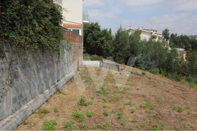 Terreno para Venda em Santo Antonio dos Olivais