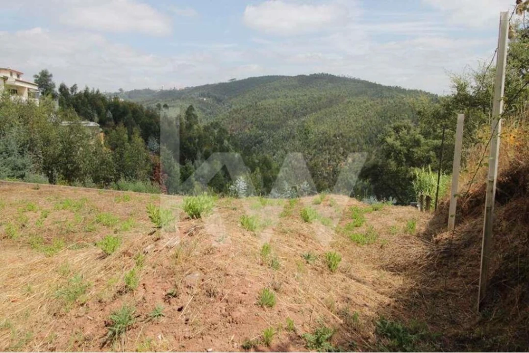 Terreno para Venda em Santo Antonio dos Olivais Foto 14