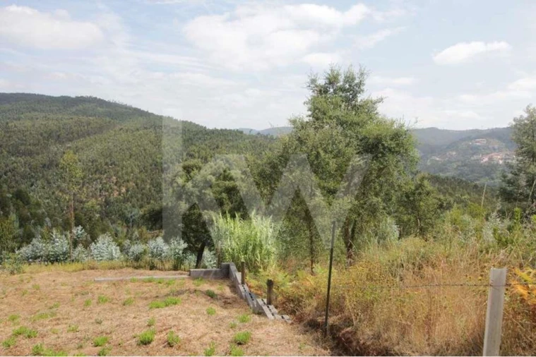Terreno para Venda em Santo Antonio dos Olivais Foto 10