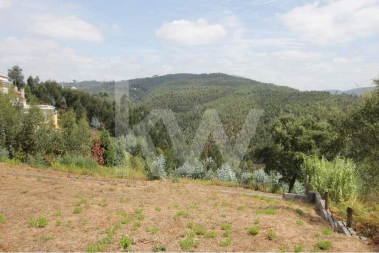 Terreno para Venda em Santo Antonio dos Olivais Foto 9