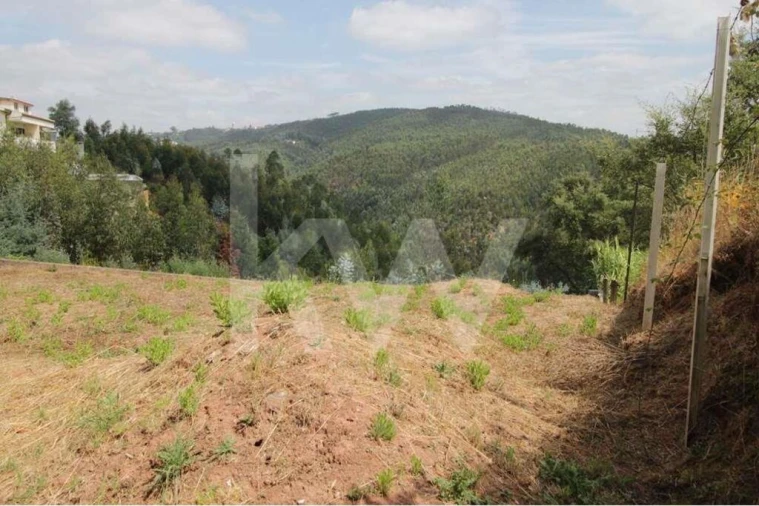 Terreno para Venda em Santo Antonio dos Olivais Foto 14