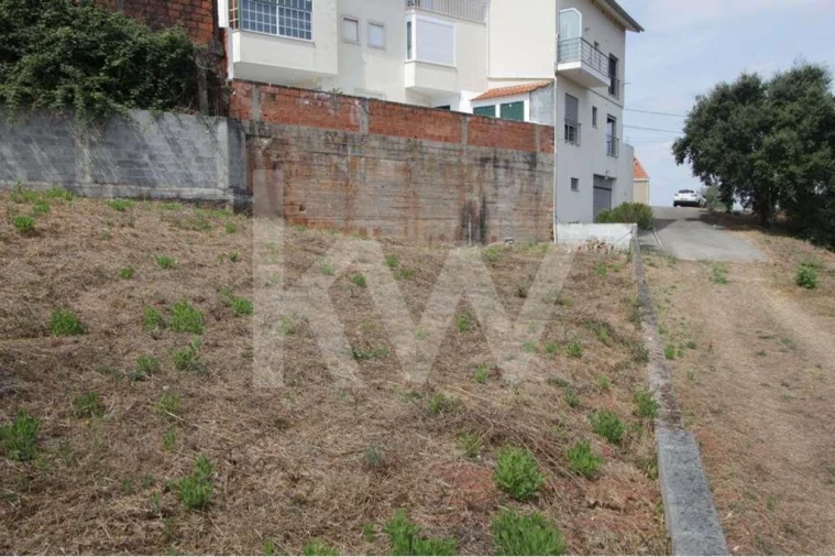 Terreno para Venda em Santo Antonio dos Olivais Foto 15