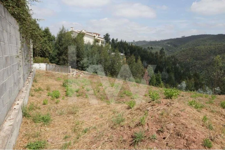 Terreno para Venda em Santo Antonio dos Olivais Foto 13