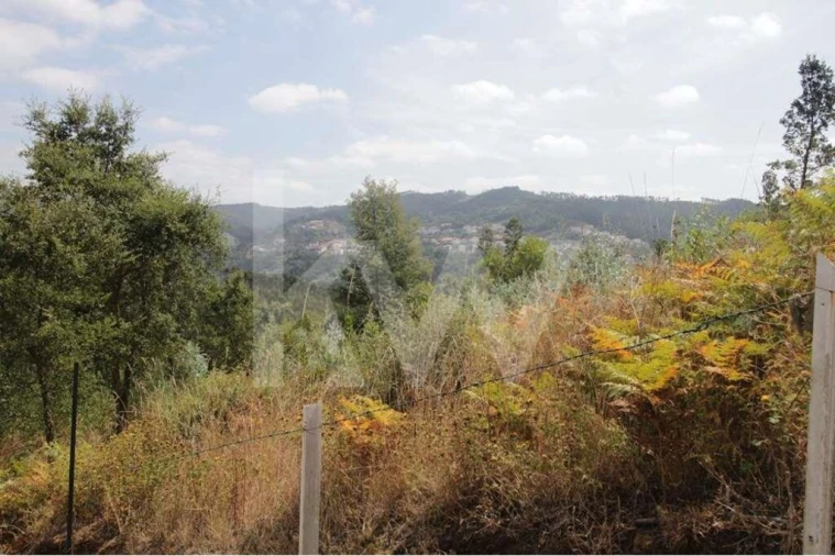 Terreno para Venda em Santo Antonio dos Olivais Foto 12