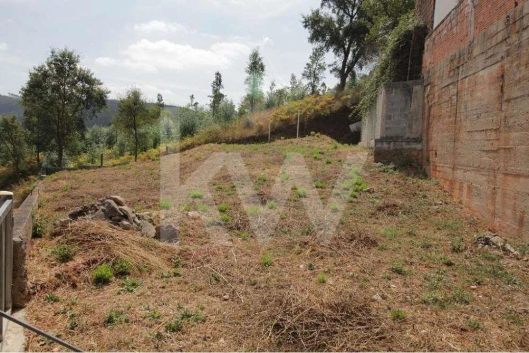Terreno para Venda em Santo Antonio dos Olivais Foto 6