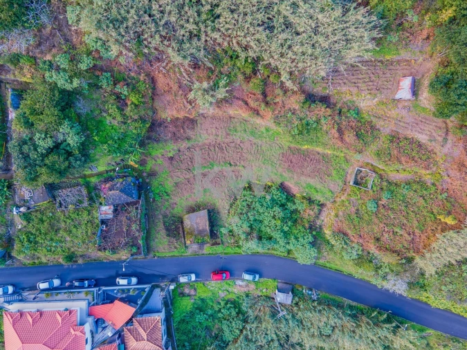 Terreno para Venda em São Vicente Foto 3