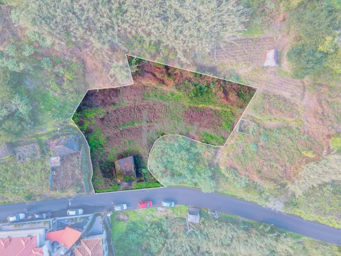Terreno para Venda em São Vicente Foto 12
