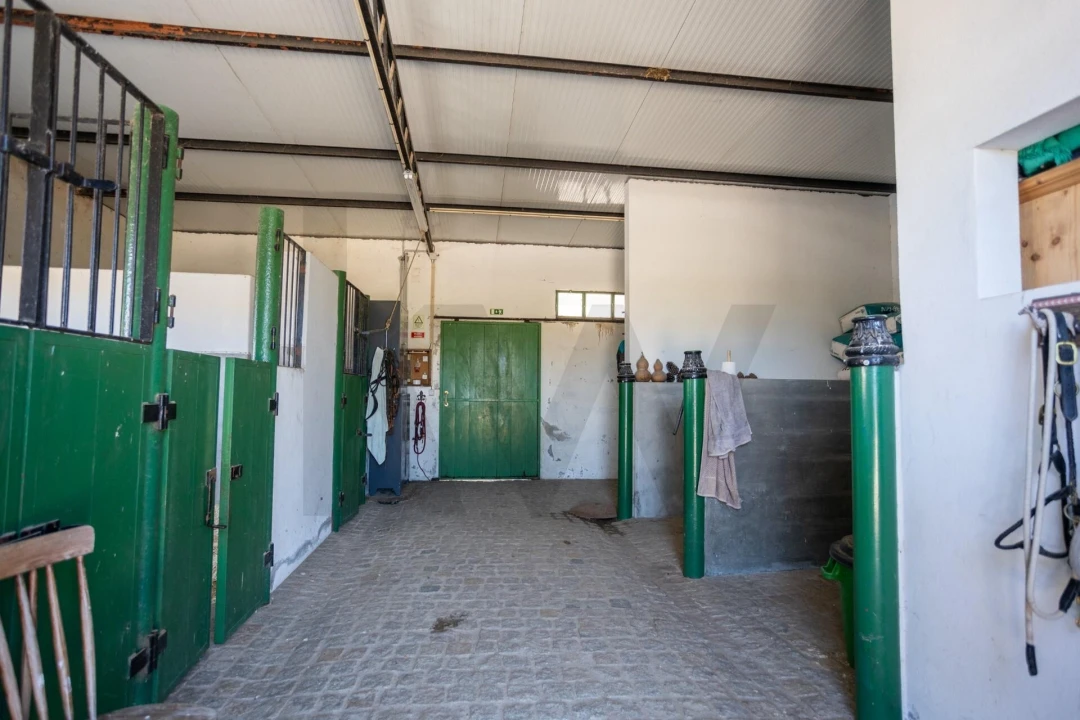 Quinta T5 para Venda em Couço Foto 75