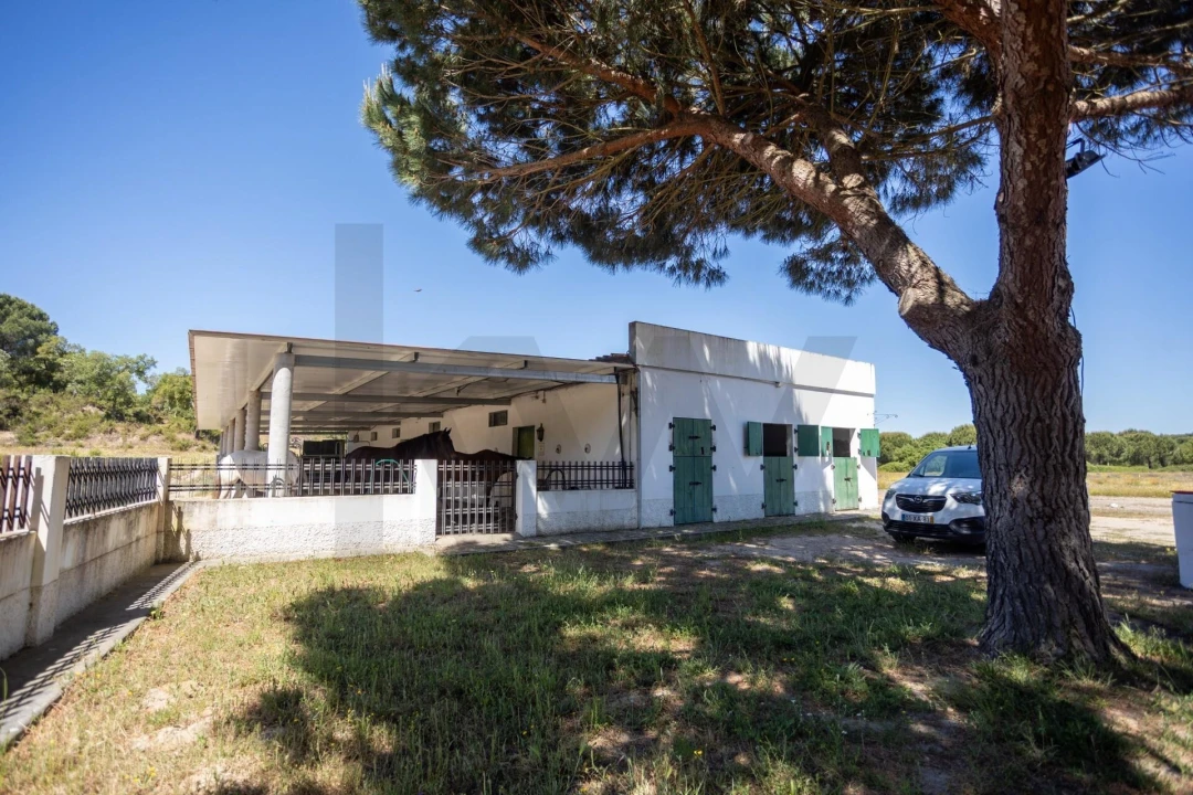 Quinta T5 para Venda em Couço Foto 83