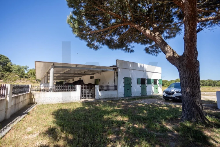 Quinta T5 para Venda em Couço Foto 83