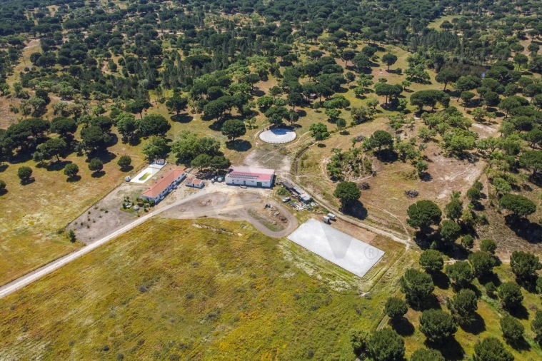 Quinta T5 para Venda em Couço Foto 88