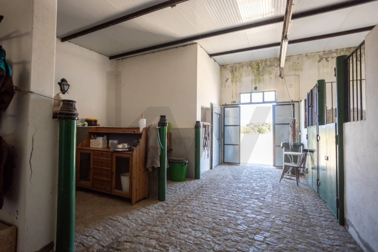 Quinta T5 para Venda em Couço Foto 77