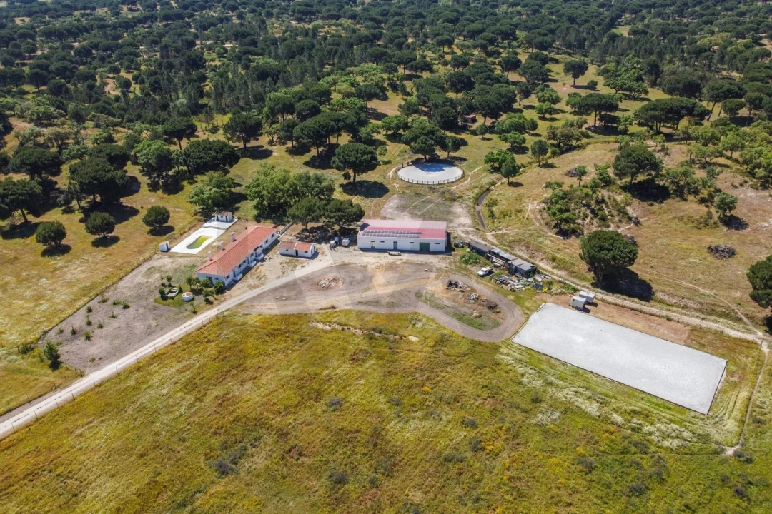 Quinta T5 para Venda em Couço Foto 86