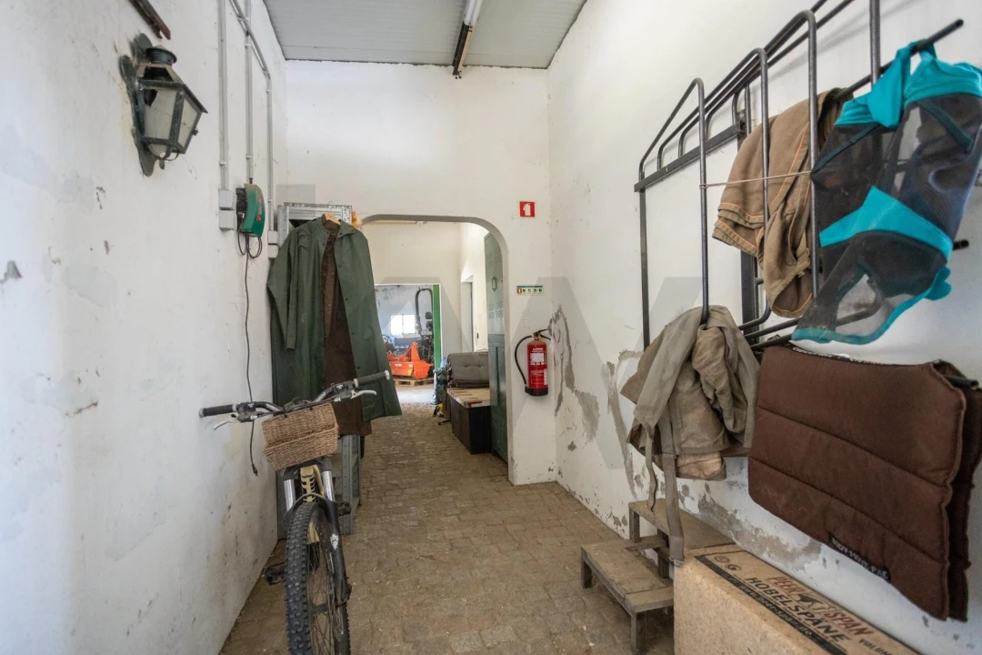 Quinta T5 para Venda em Couço Foto 78