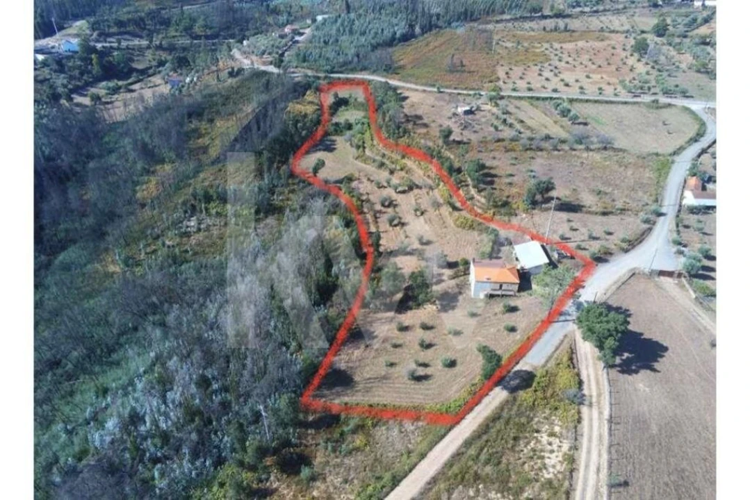 Terreno para Venda em Lavegadas Foto 1