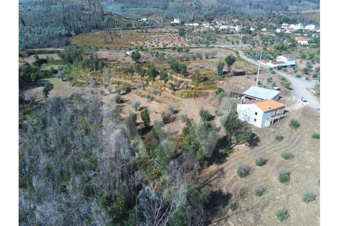 Terreno para Venda em Lavegadas Foto 5