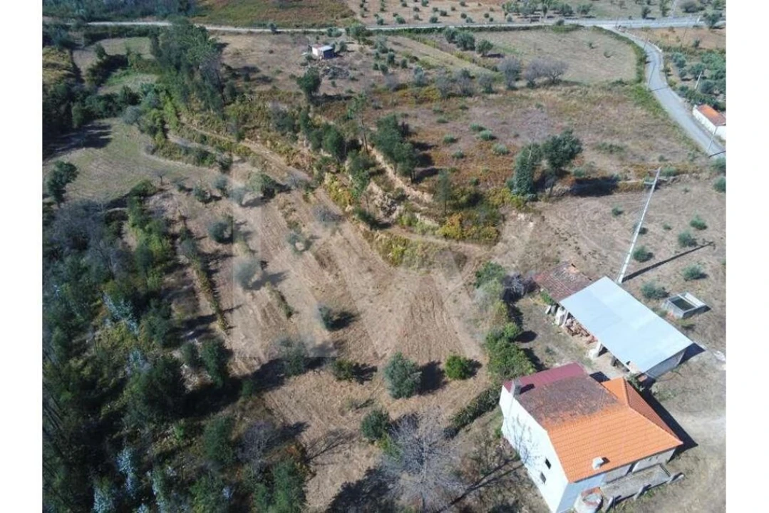 Terreno para Venda em Lavegadas Foto 2