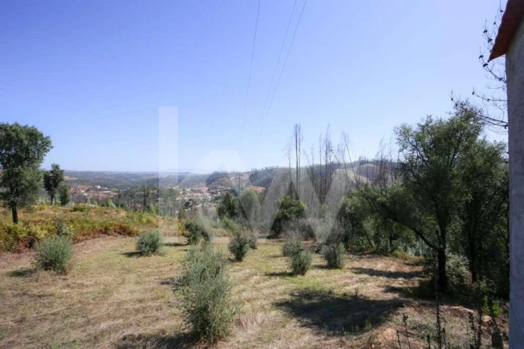 Terreno para Venda em Lavegadas Foto 10