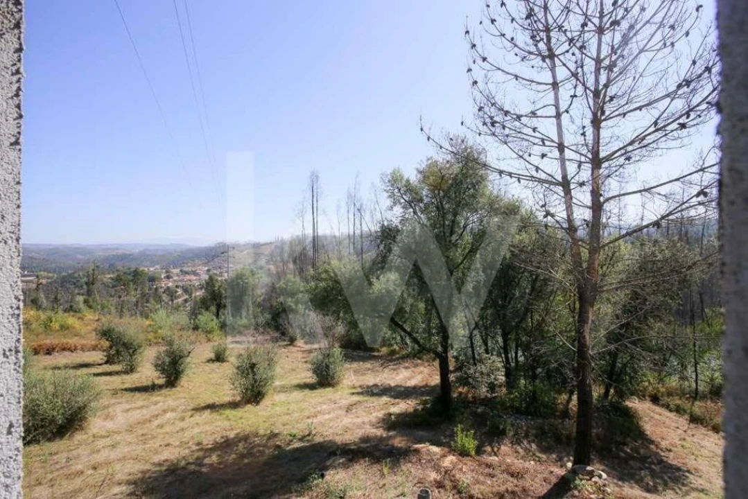 Terreno para Venda em Lavegadas Foto 8