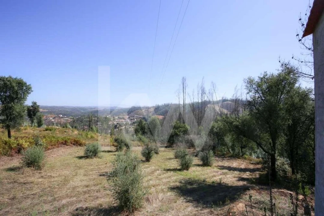 Terreno para Venda em Lavegadas Foto 10