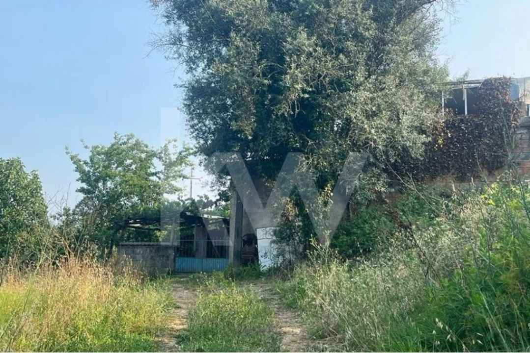 Terreno para Venda em Eiras e São Paulo de Frades Foto 3