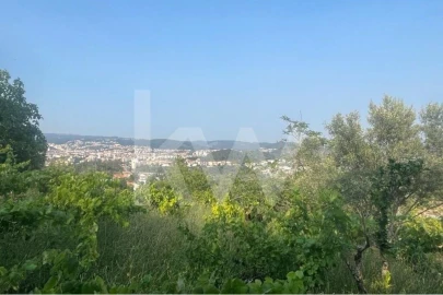 Terreno para Venda em Eiras e São Paulo de Frades