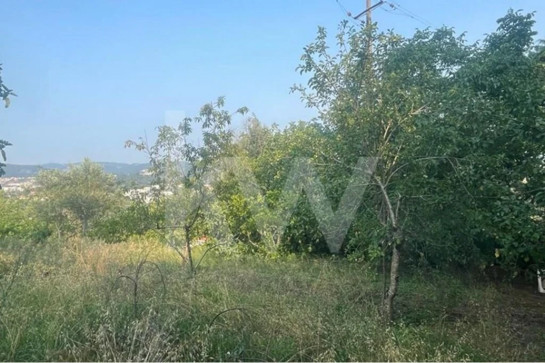 Terreno para Venda em Eiras e São Paulo de Frades Foto 5