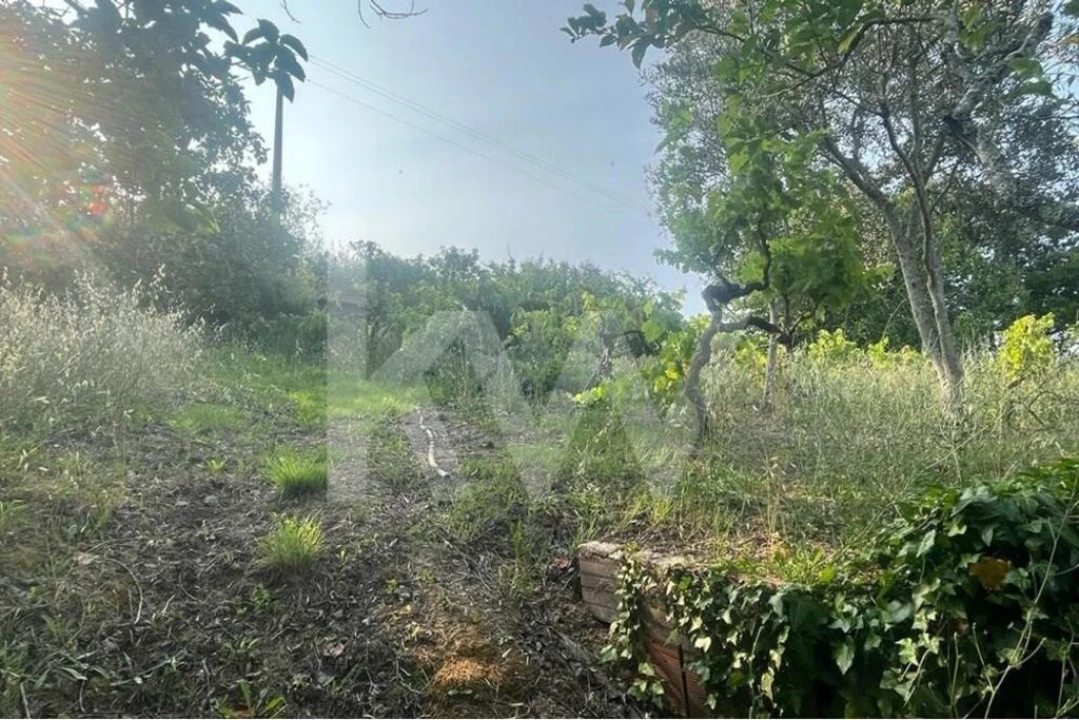 Terreno para Venda em Eiras e São Paulo de Frades Foto 9