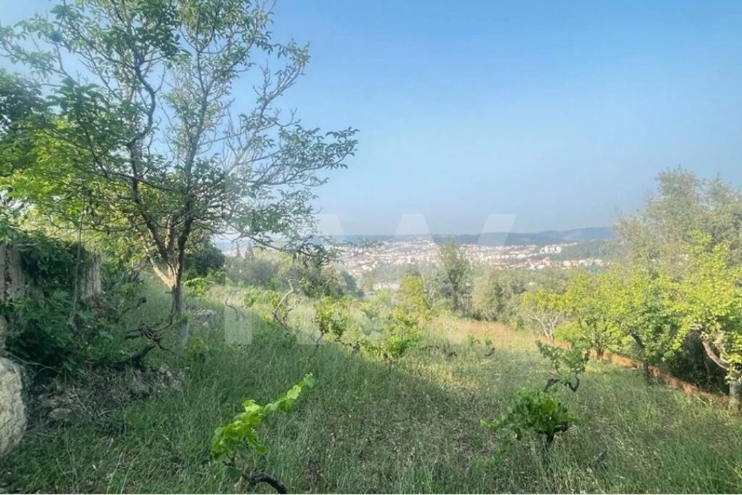 Terreno para Venda em Eiras e São Paulo de Frades Foto 10