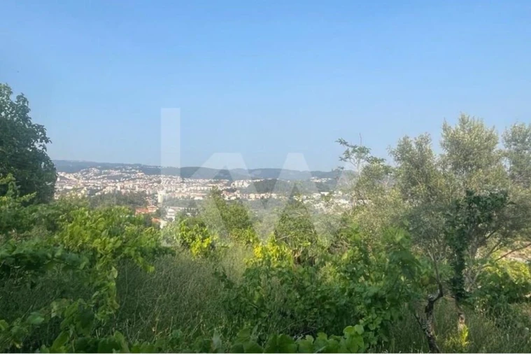 Terreno para Venda em Eiras e São Paulo de Frades Foto 7