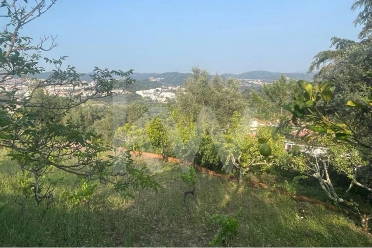 Terreno para Venda em Eiras e São Paulo de Frades Foto 8
