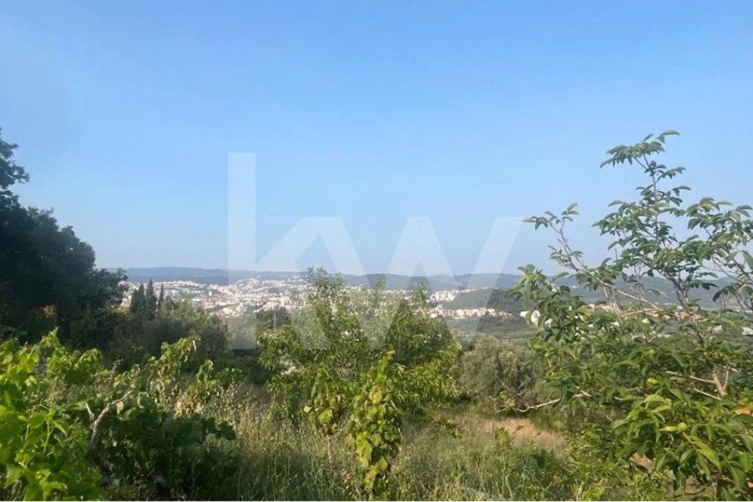 Terreno para Venda em Eiras e São Paulo de Frades Foto 11