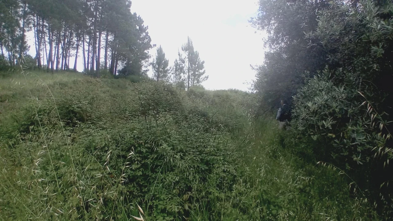 Moradia T3 para Venda em Vinha da Rainha Foto 5