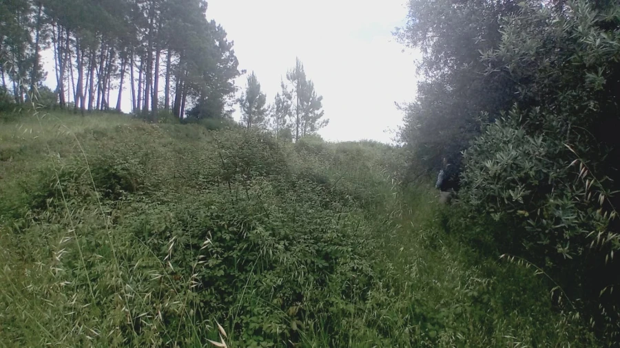 Moradia T3 para Venda em Vinha da Rainha Foto 5