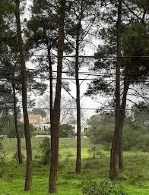 Apartamento T3 para Venda em Charneca de Caparica e Sobreda