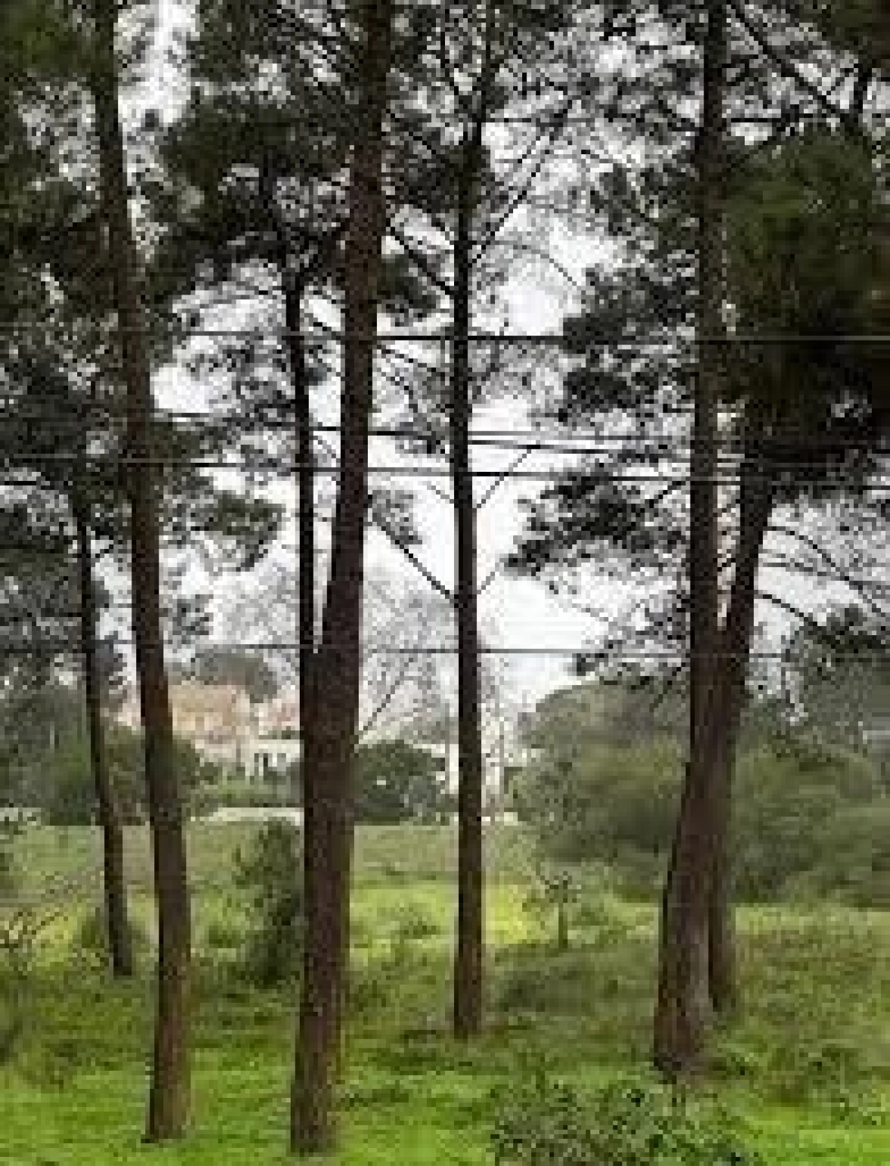 Apartamento T3 para Venda em Charneca de Caparica e Sobreda Foto 13