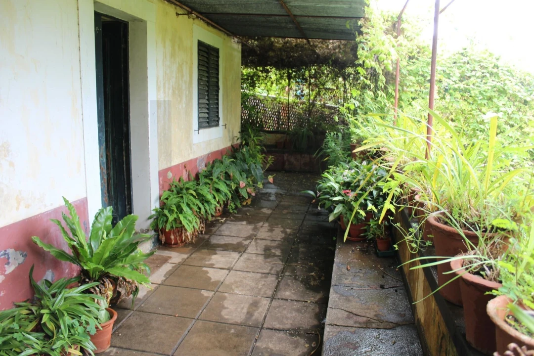 Terreno para Venda em São Martinho Foto 4