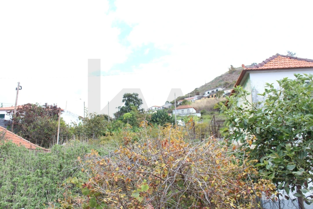 Terreno para Venda em São Martinho Foto 6