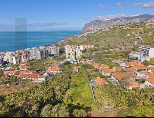 Terreno para Venda em São Martinho Foto 15