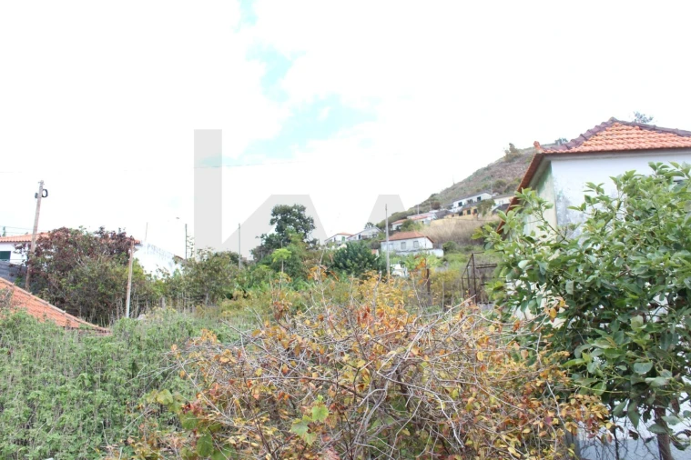 Terreno para Venda em São Martinho Foto 6