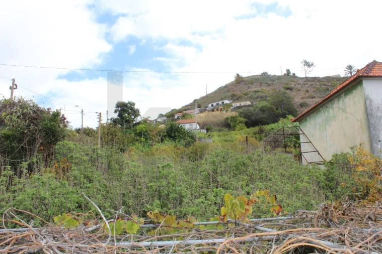 Terreno para Venda em São Martinho Foto 7