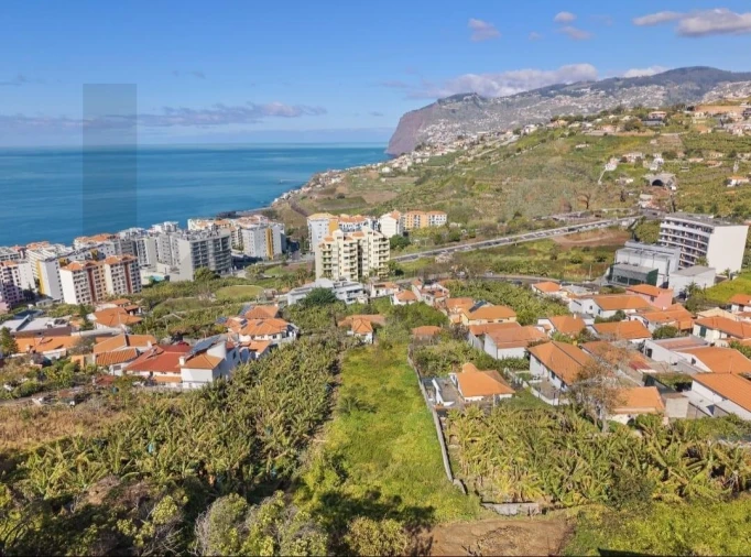 Terreno para Venda em São Martinho Foto 9