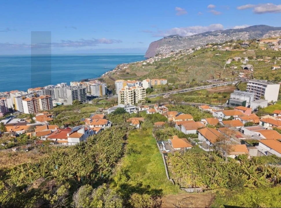 Terreno para Venda em São Martinho Foto 9