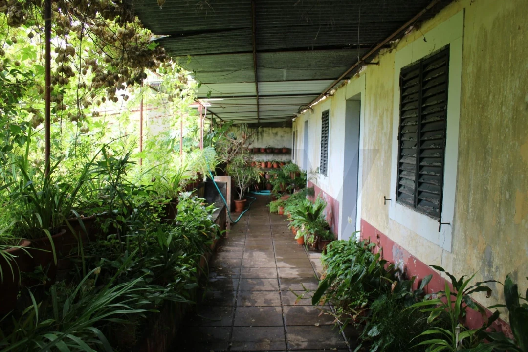 Terreno para Venda em São Martinho Foto 5