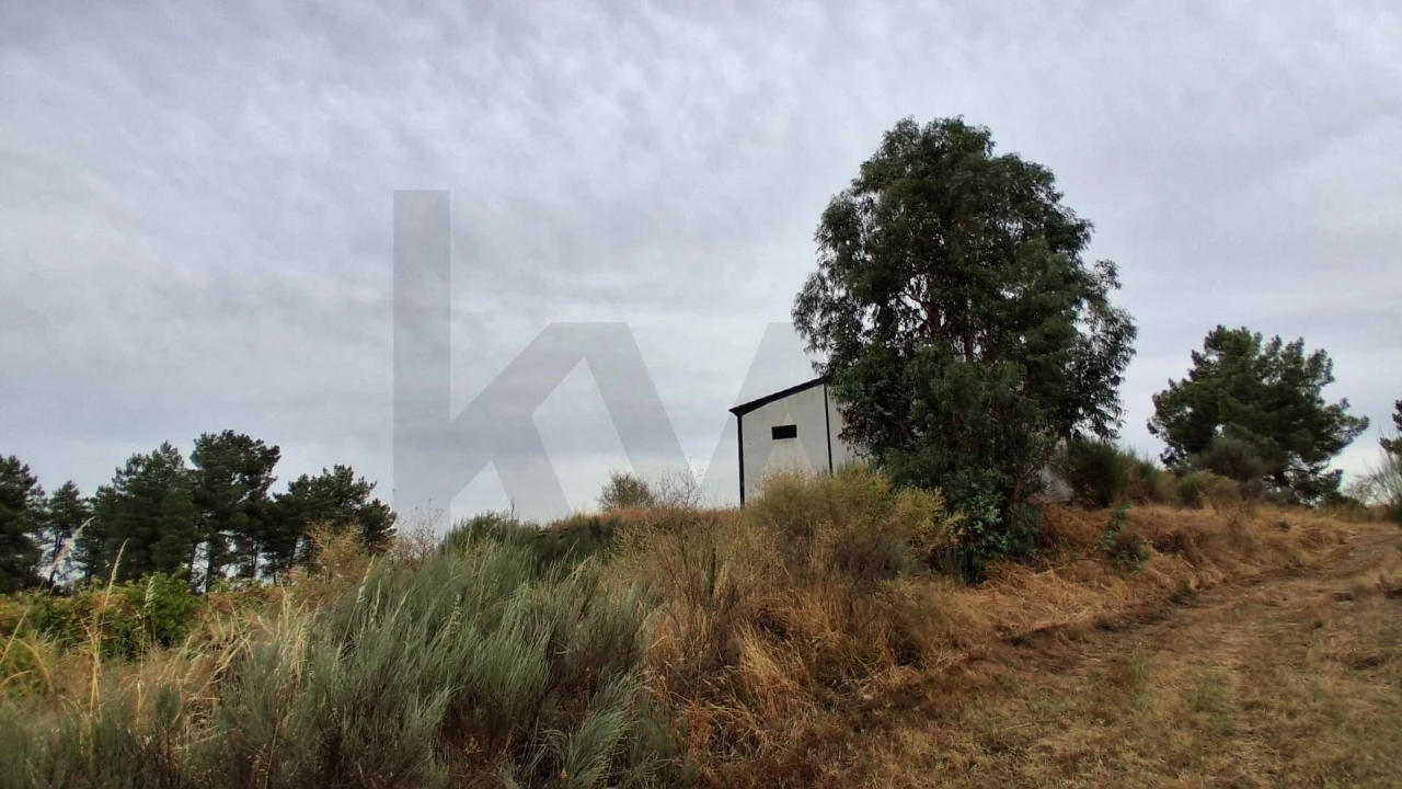 Terreno para Venda em São Miguel de Acha Foto 3
