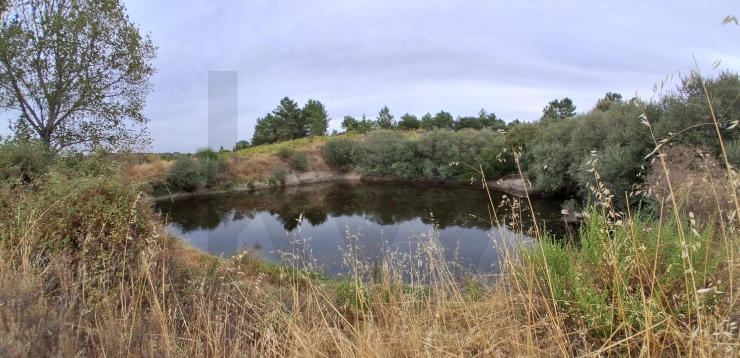 Terreno para Venda em São Miguel de Acha Foto 7