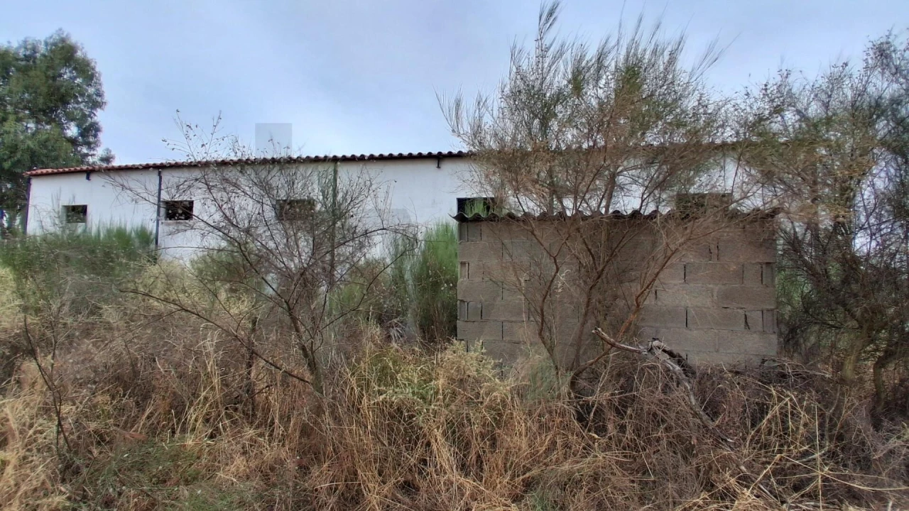 Terreno para Venda em São Miguel de Acha Foto 2